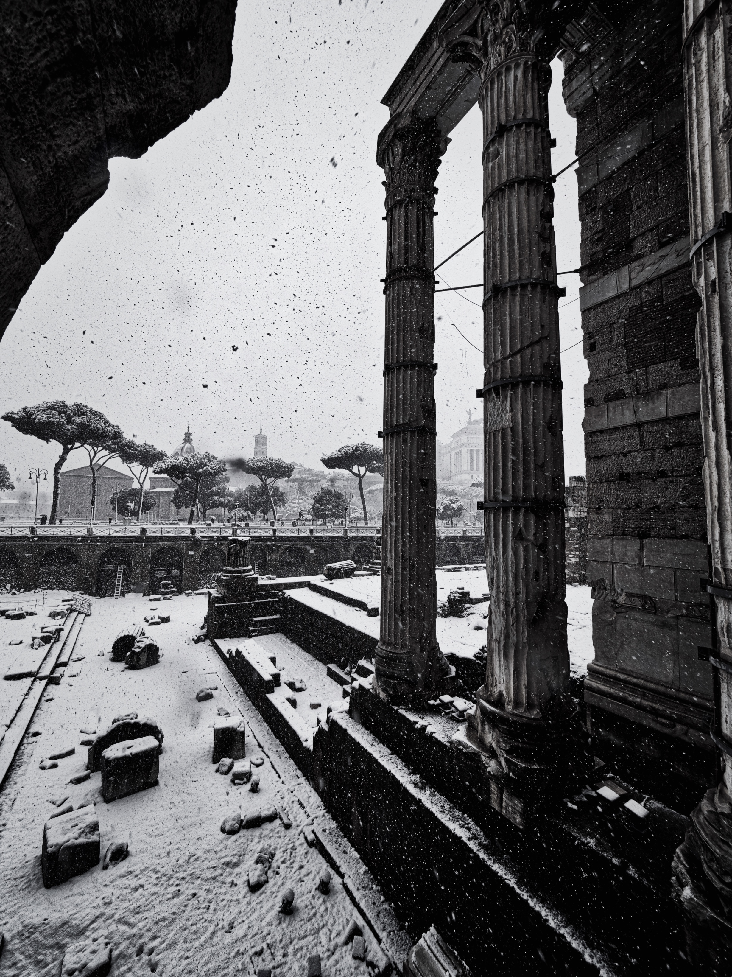 Snowy Forum